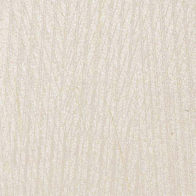 SHARA SHARA 2006