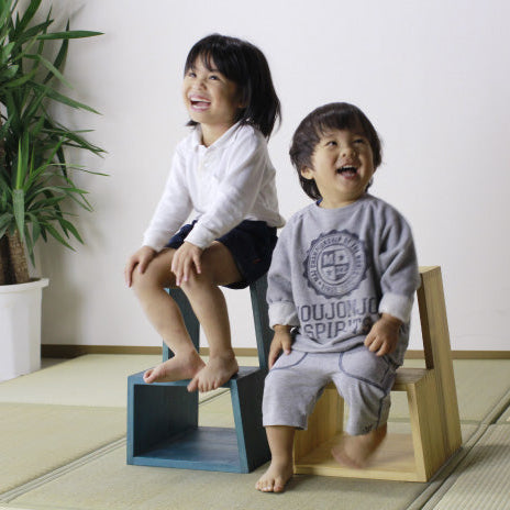 Primo Step stool